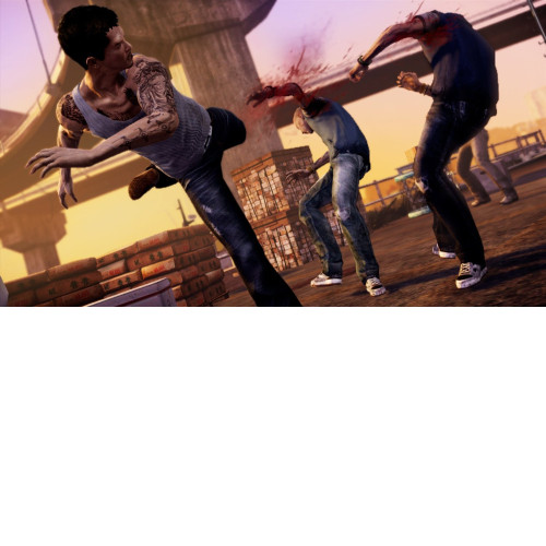 Sleeping Dogs PS3